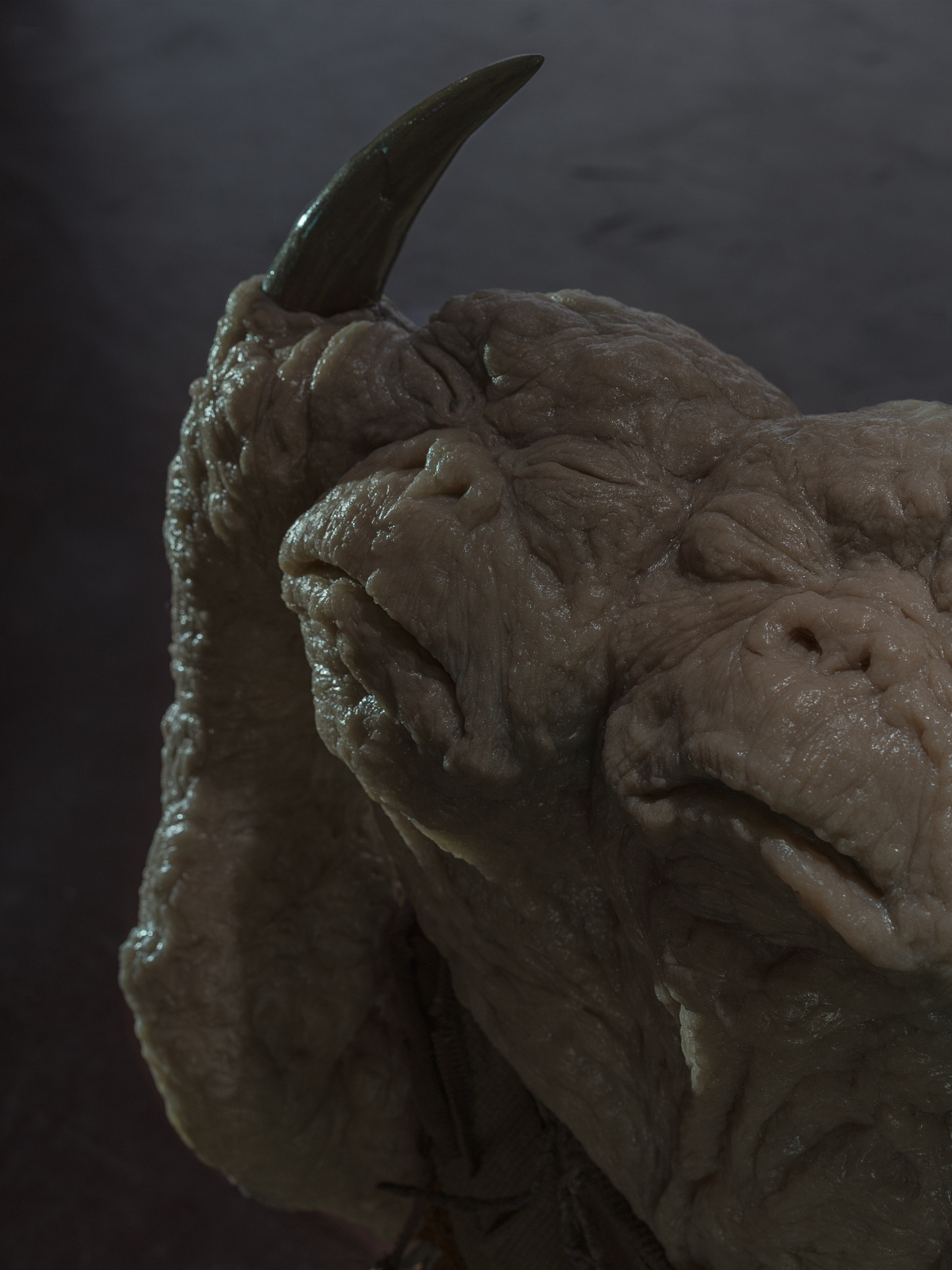 The Vernal Age of Miry Mirrors