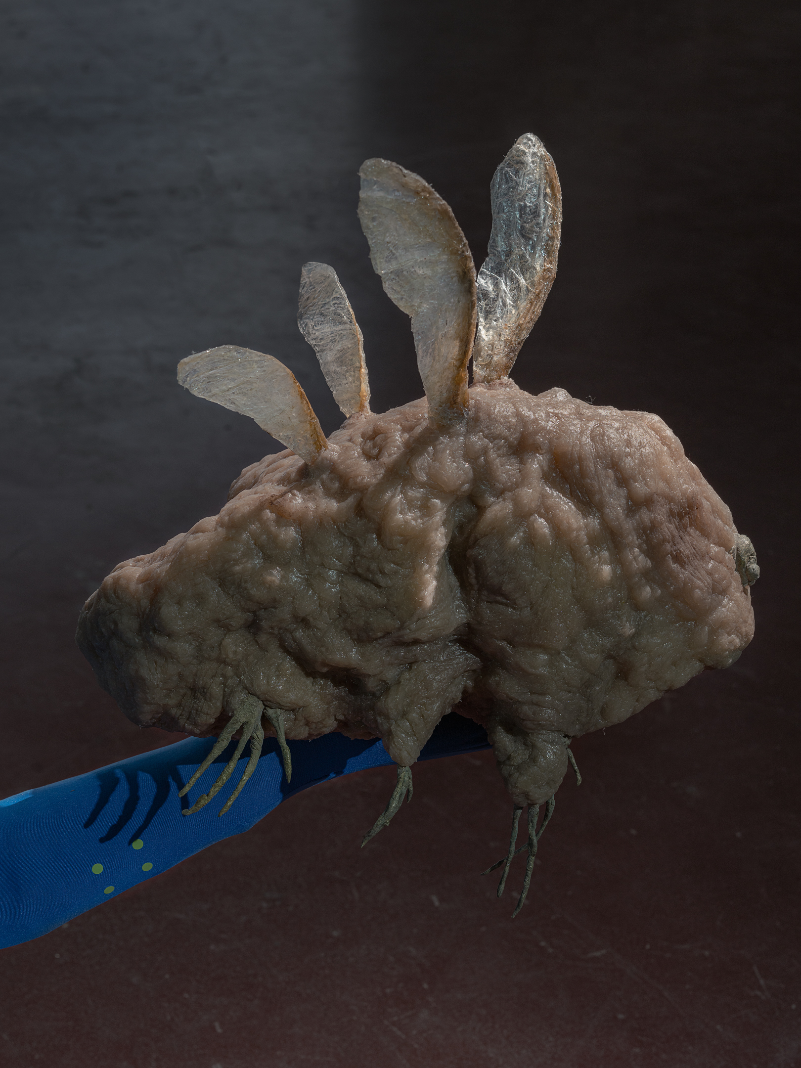 The Vernal Age of Miry Mirrors