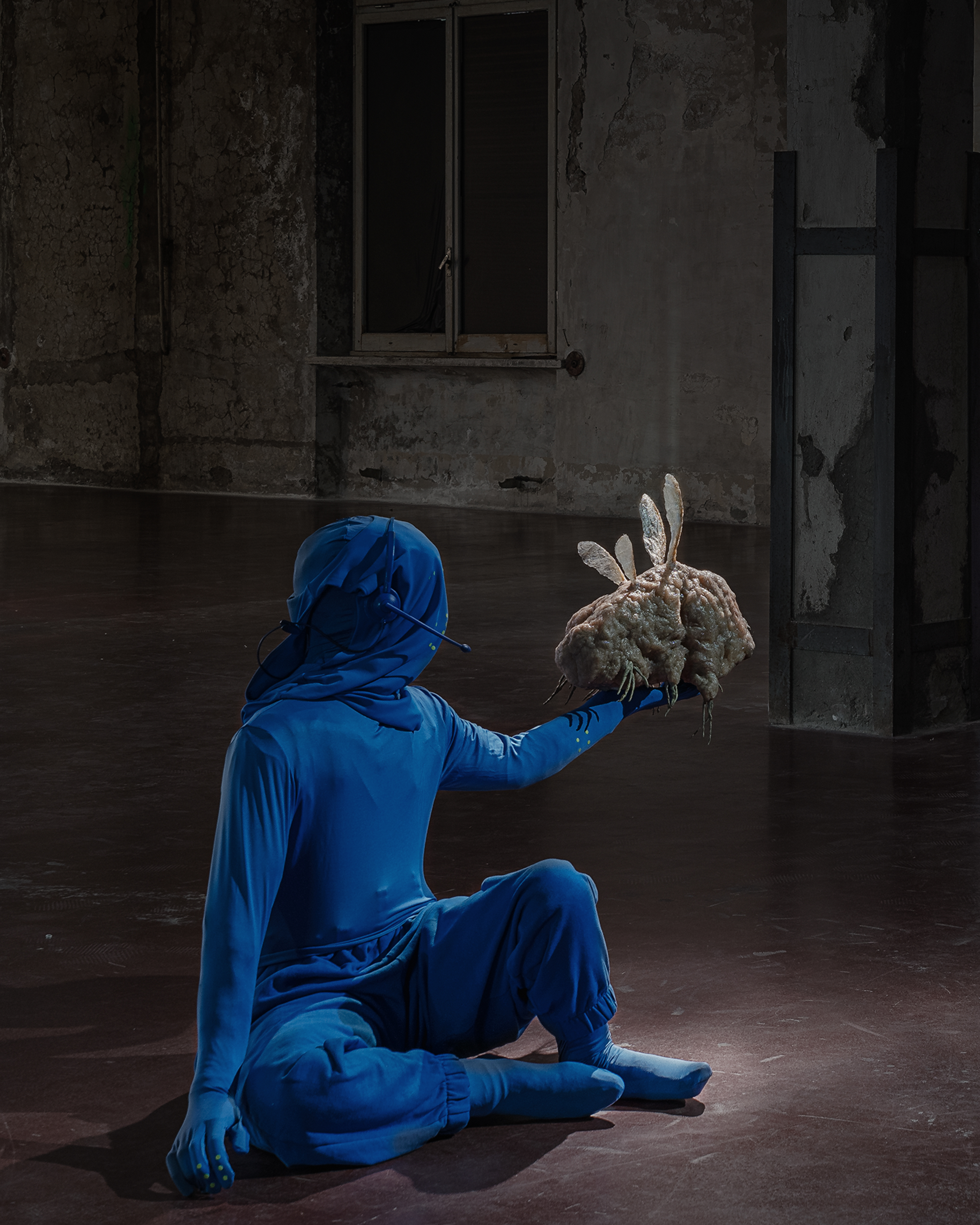 The Vernal Age of Miry Mirrors