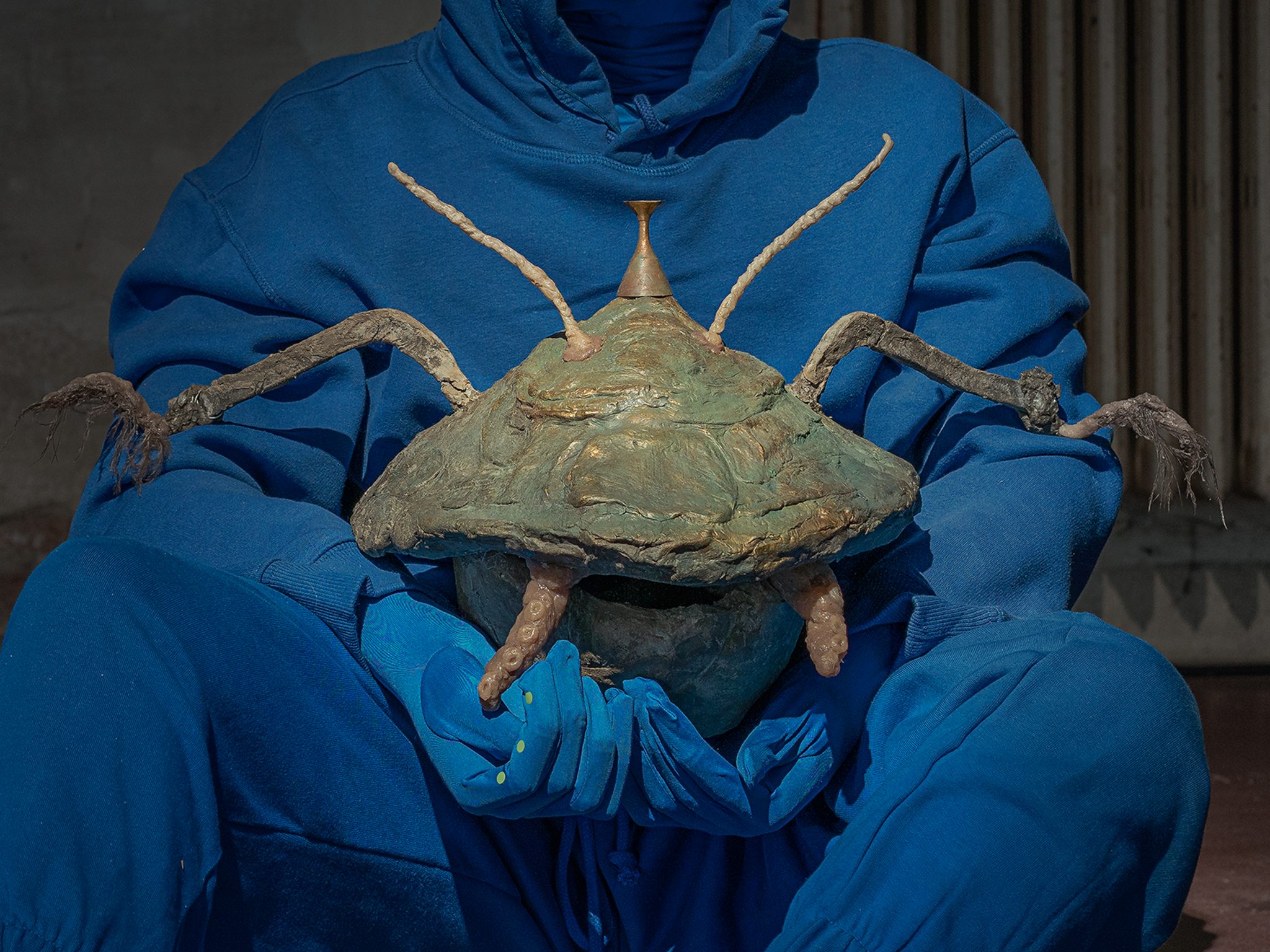 The Vernal Age of Miry Mirrors