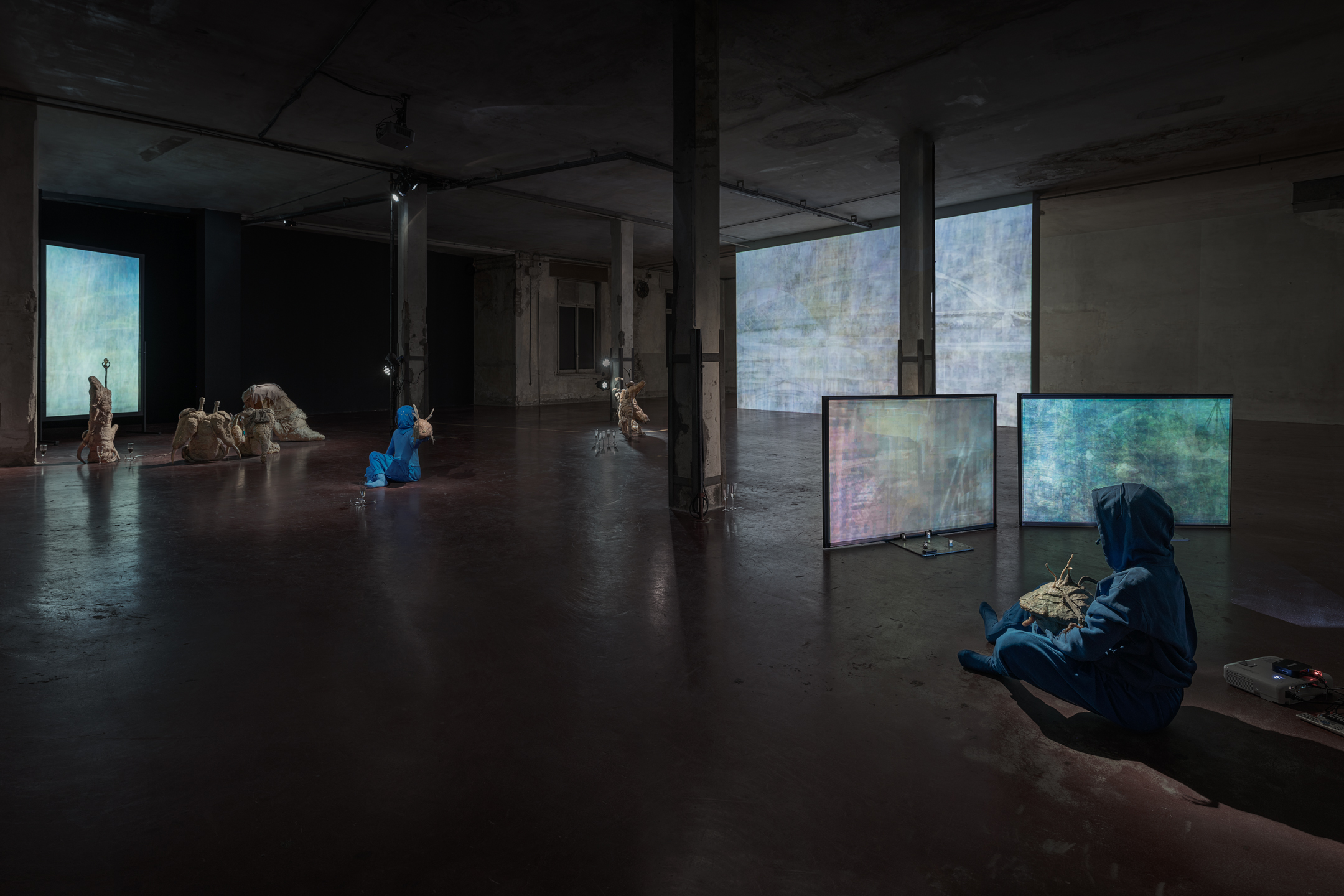 The Vernal Age of Miry Mirrors