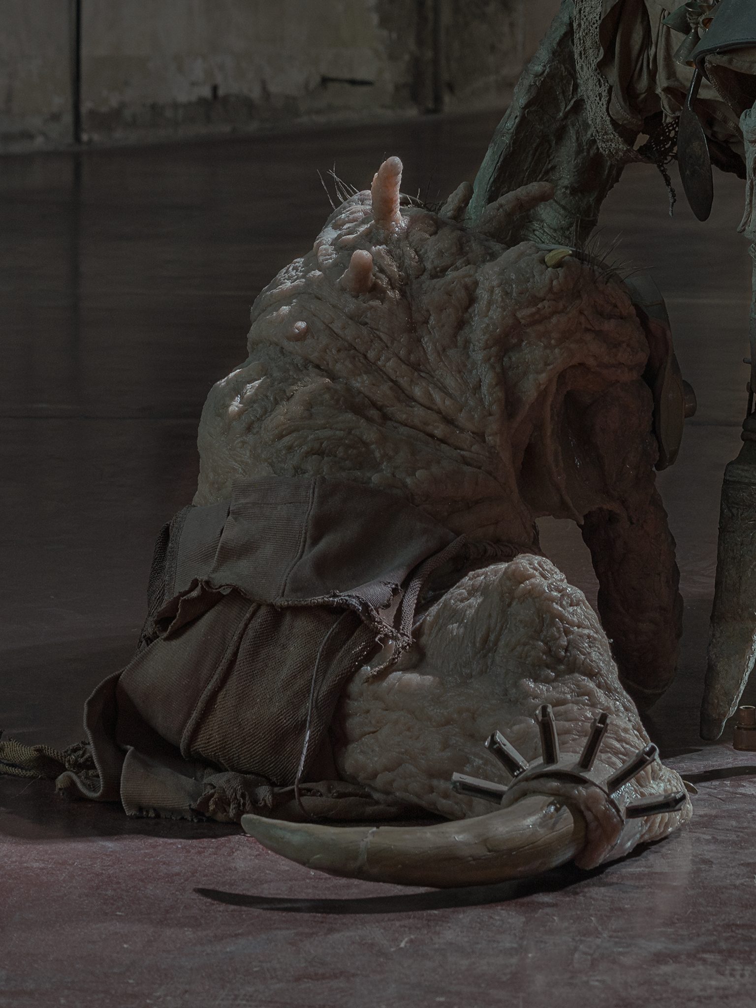 The Vernal Age of Miry Mirrors