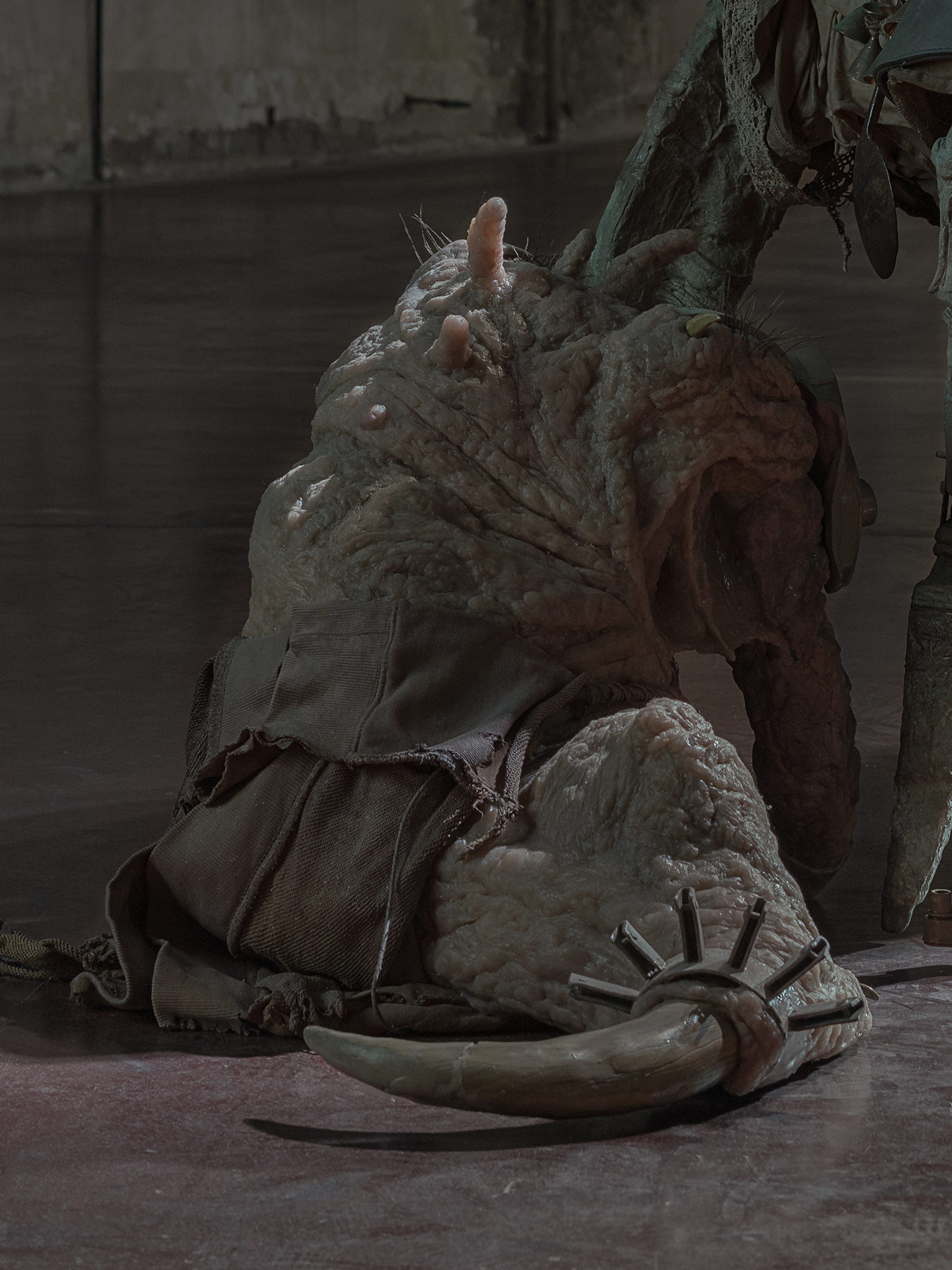 The Vernal Age of Miry Mirrors