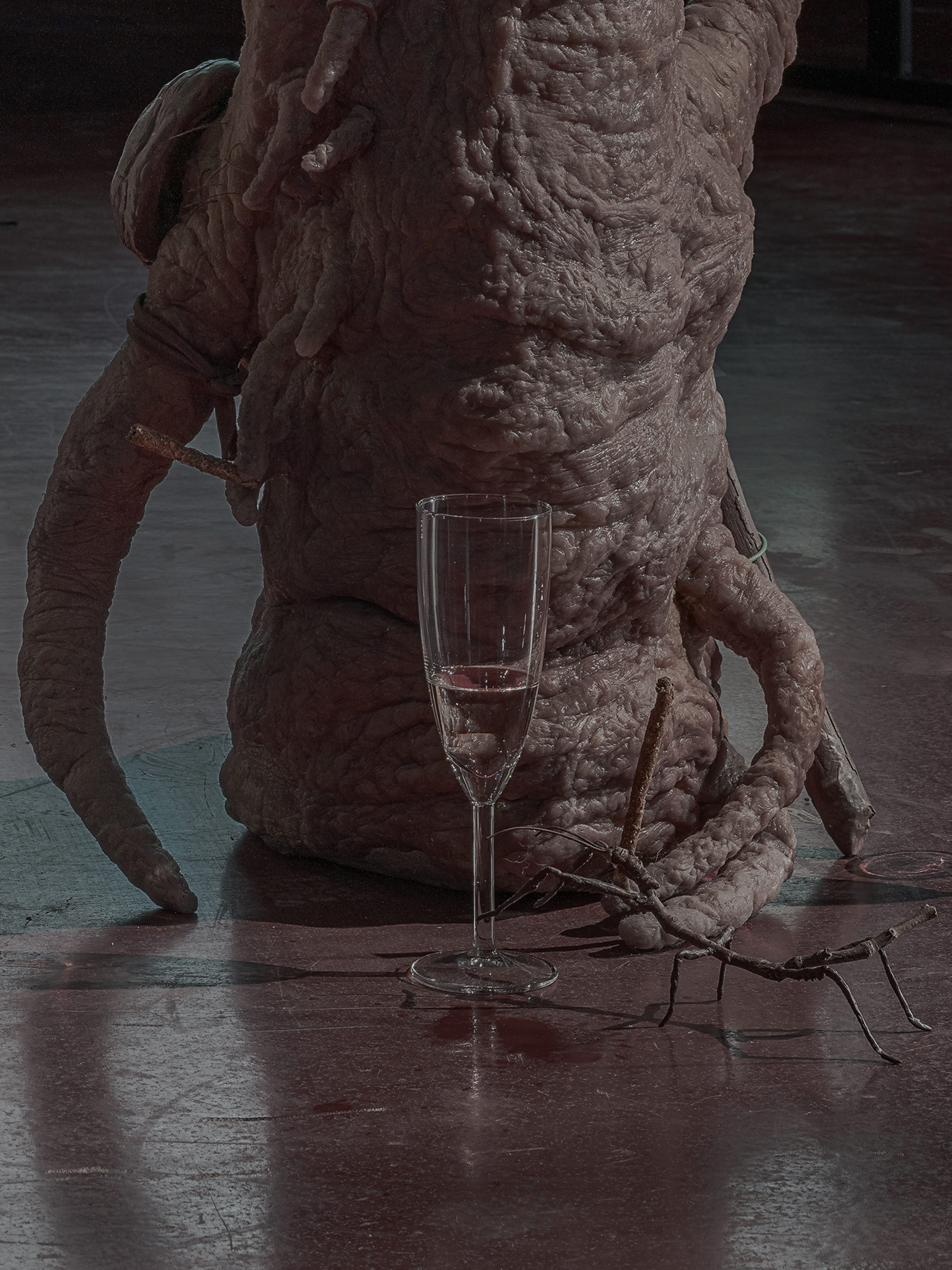 The Vernal Age of Miry Mirrors