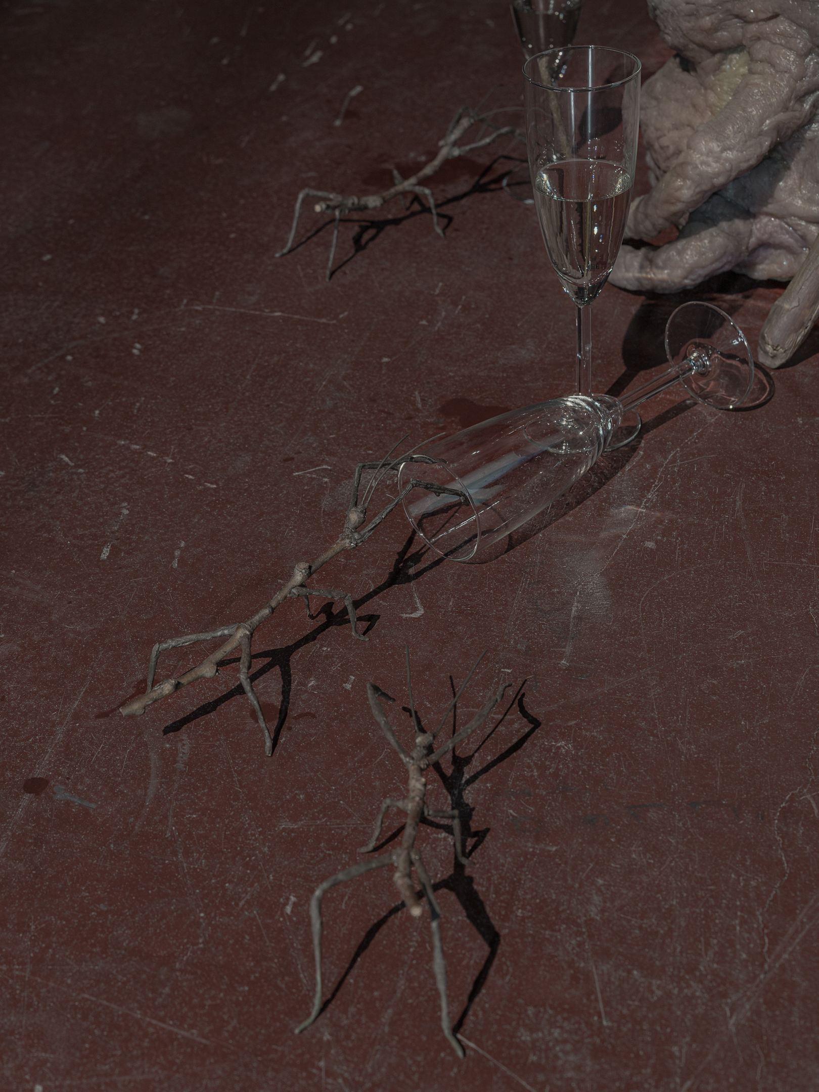 The Vernal Age of Miry Mirrors