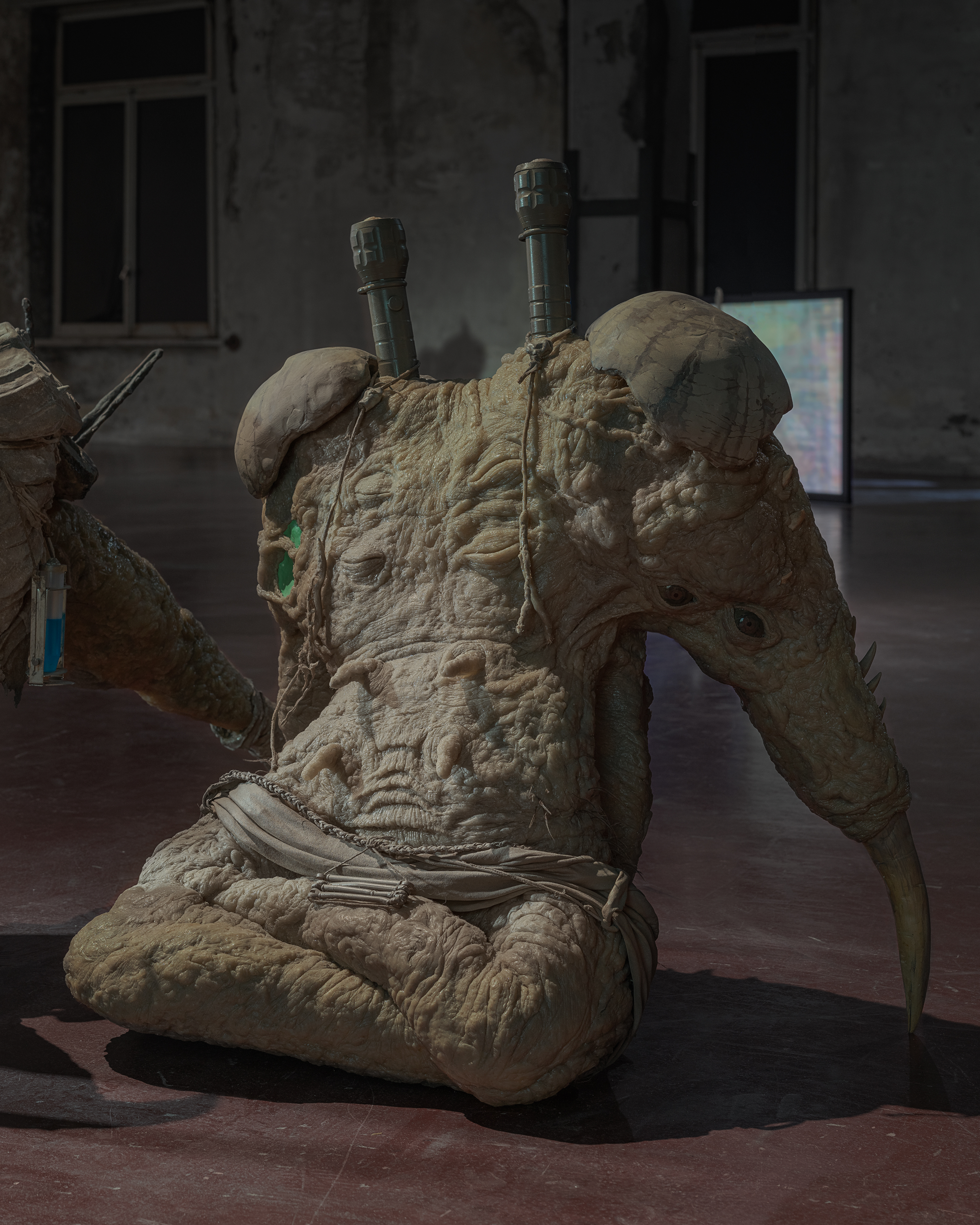 The Vernal Age of Miry Mirrors