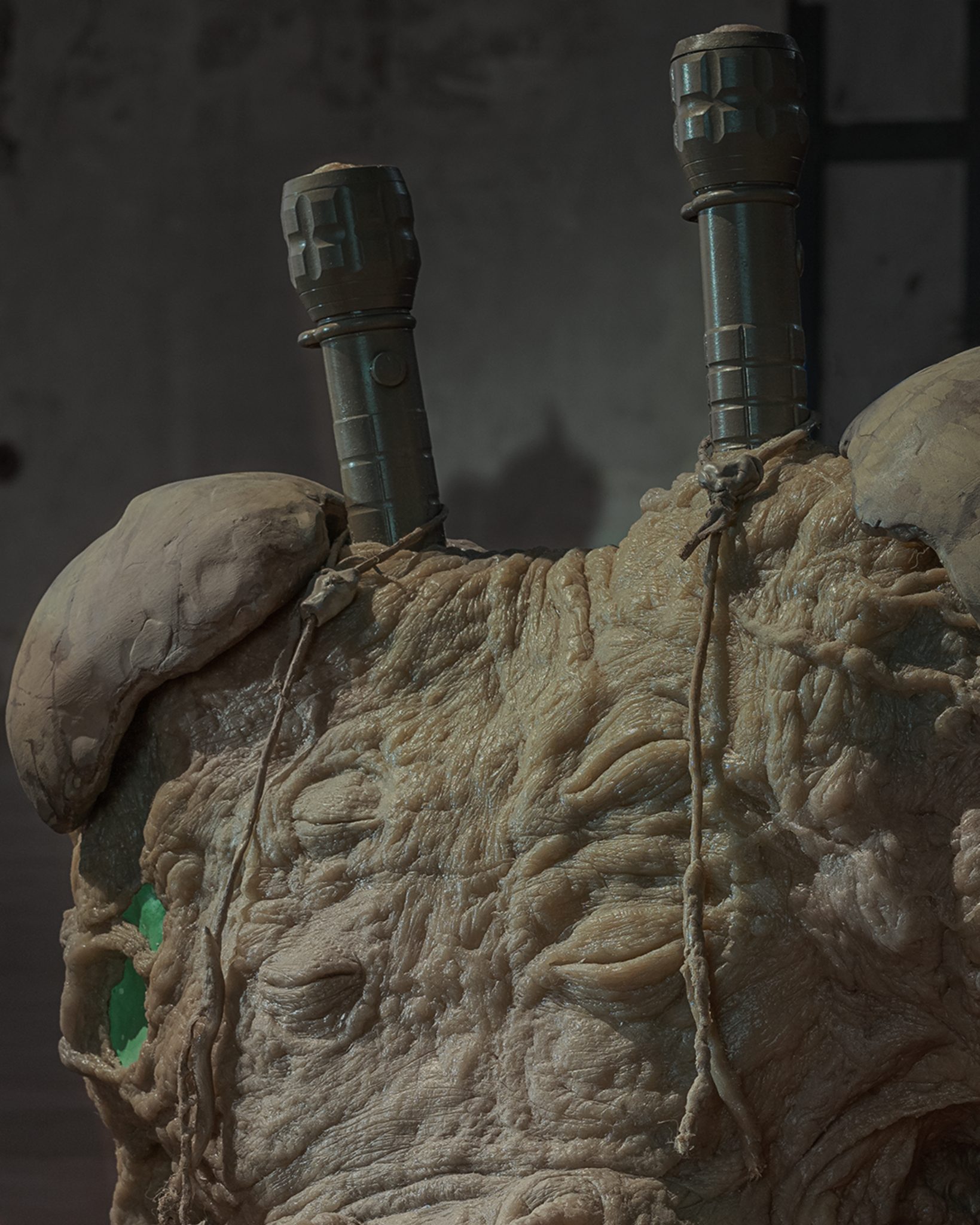 The Vernal Age of Miry Mirrors