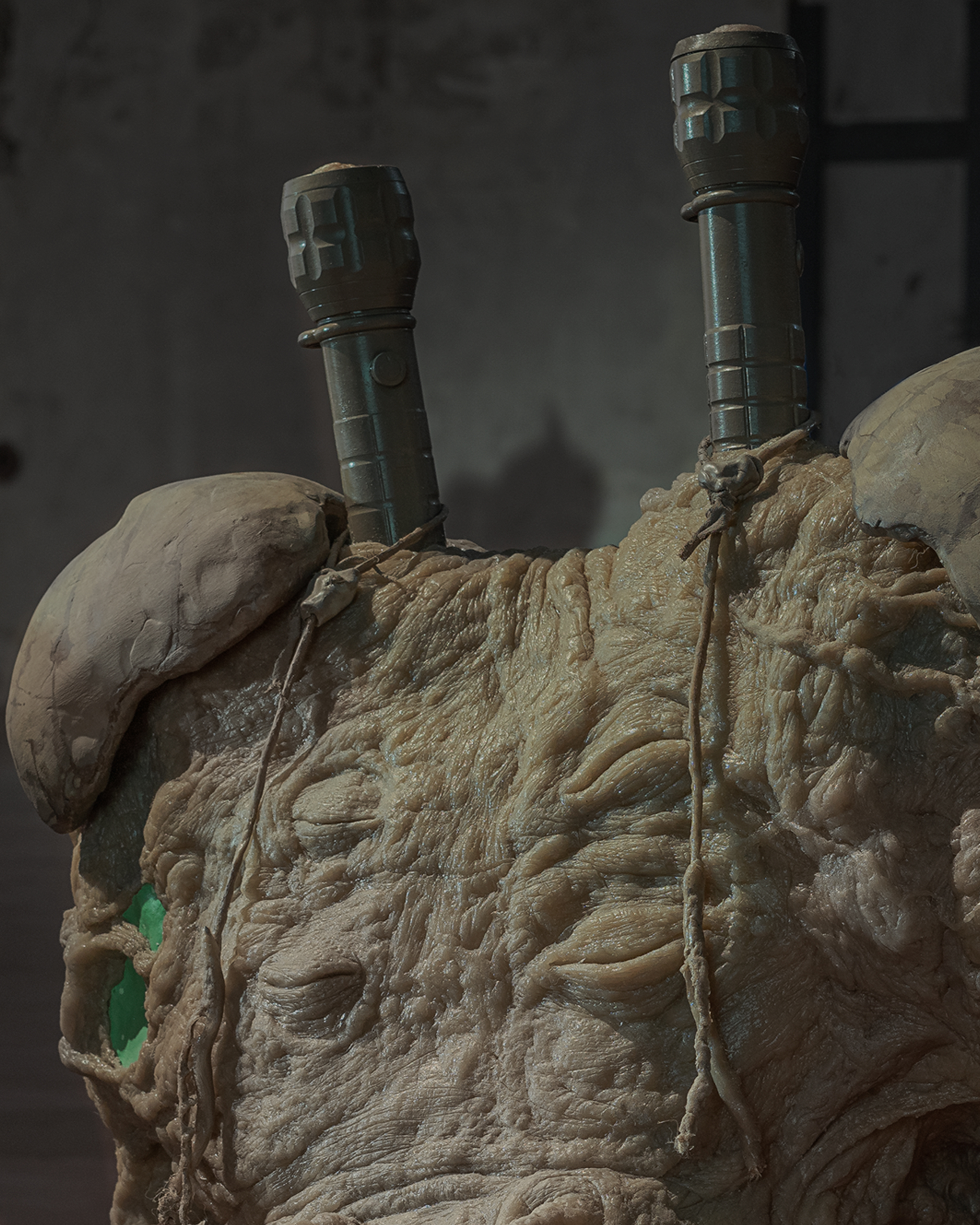 The Vernal Age of Miry Mirrors