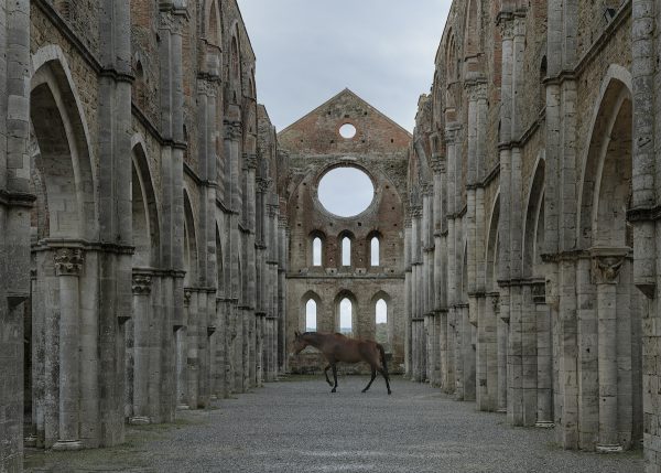 Endless Nostalghia