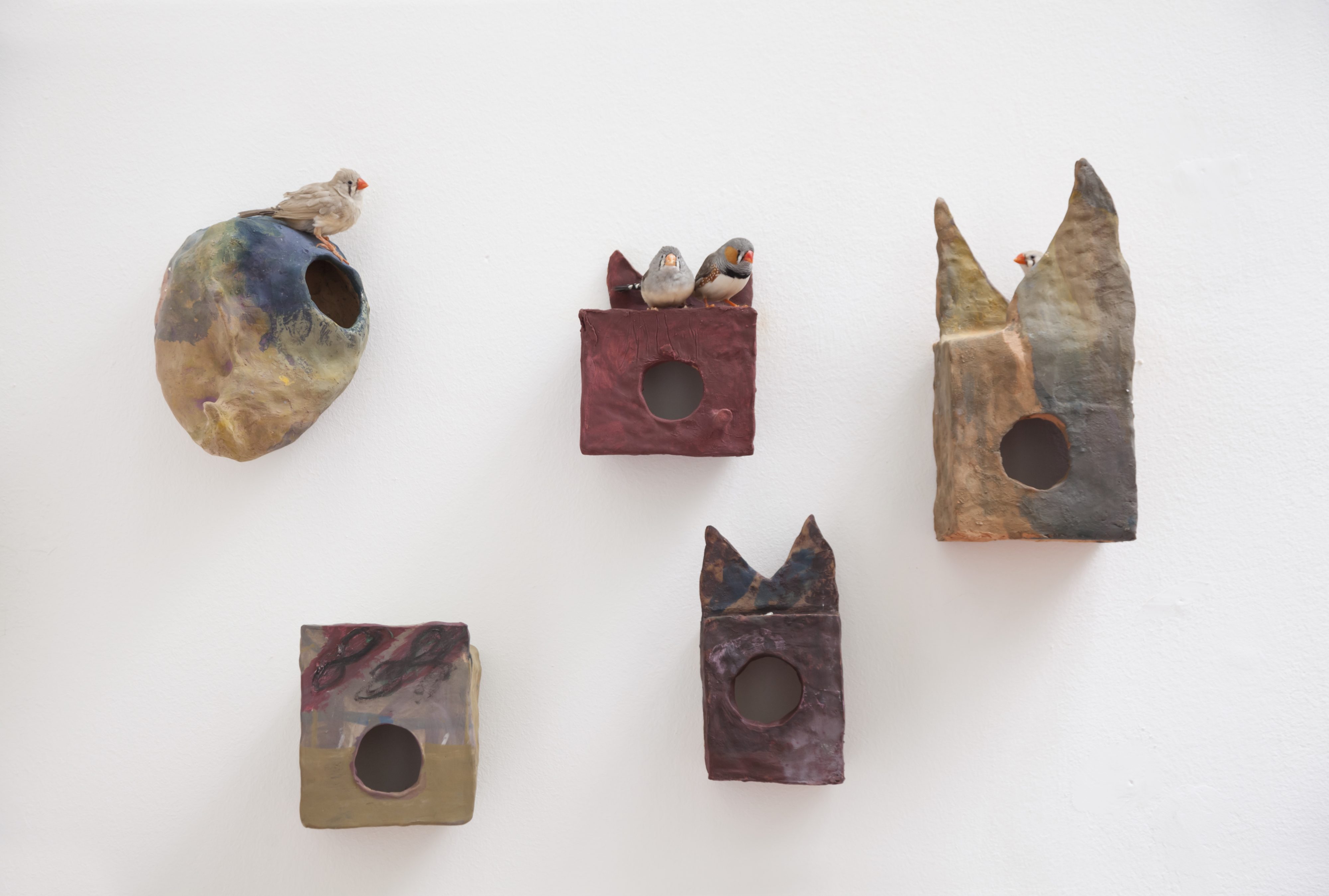 Permanent Transformation of a Magician in Ant