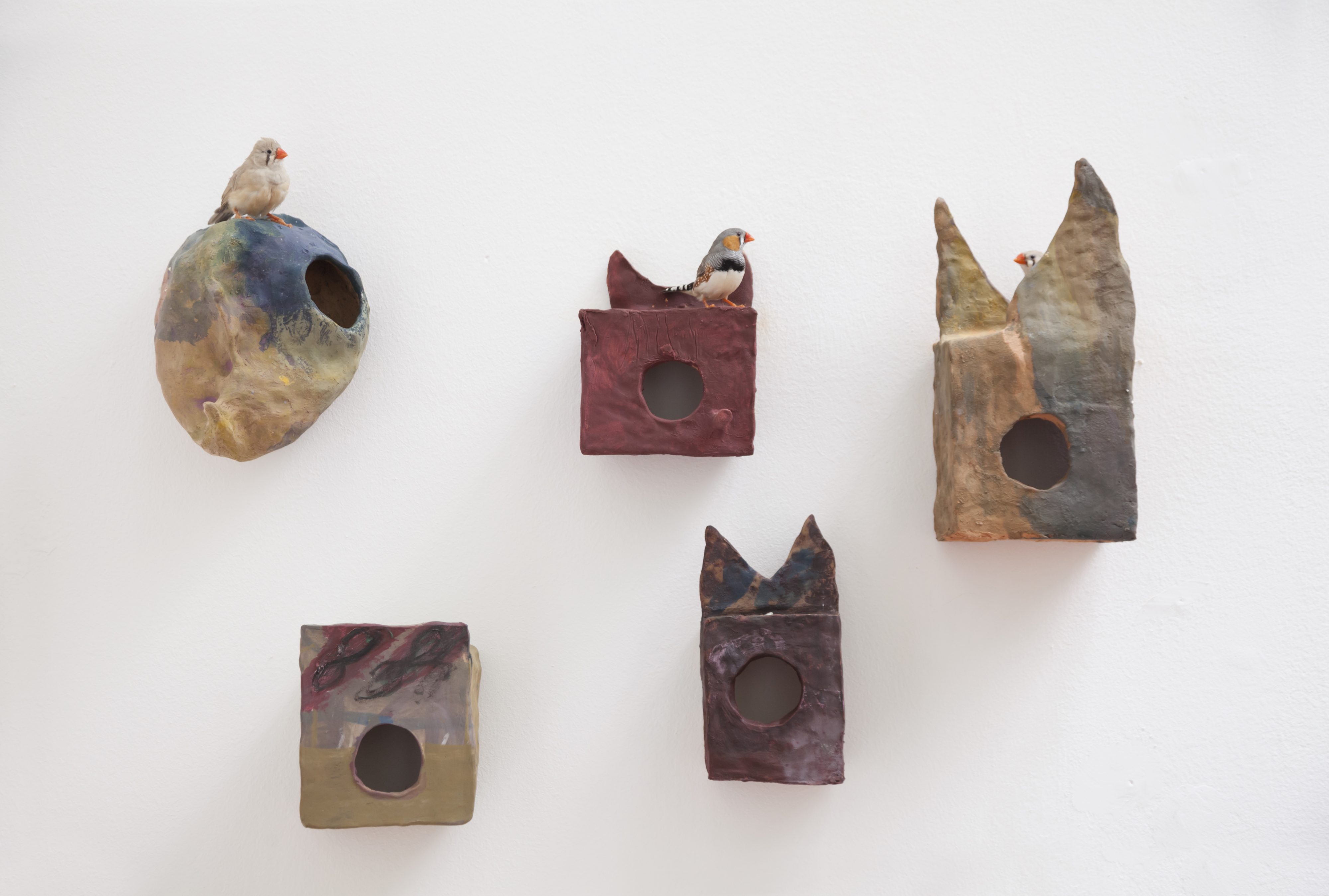 Permanent Transformation of a Magician in Ant