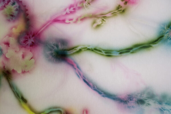 Natália Trejbalová – Few Thoughts on Floating Spores