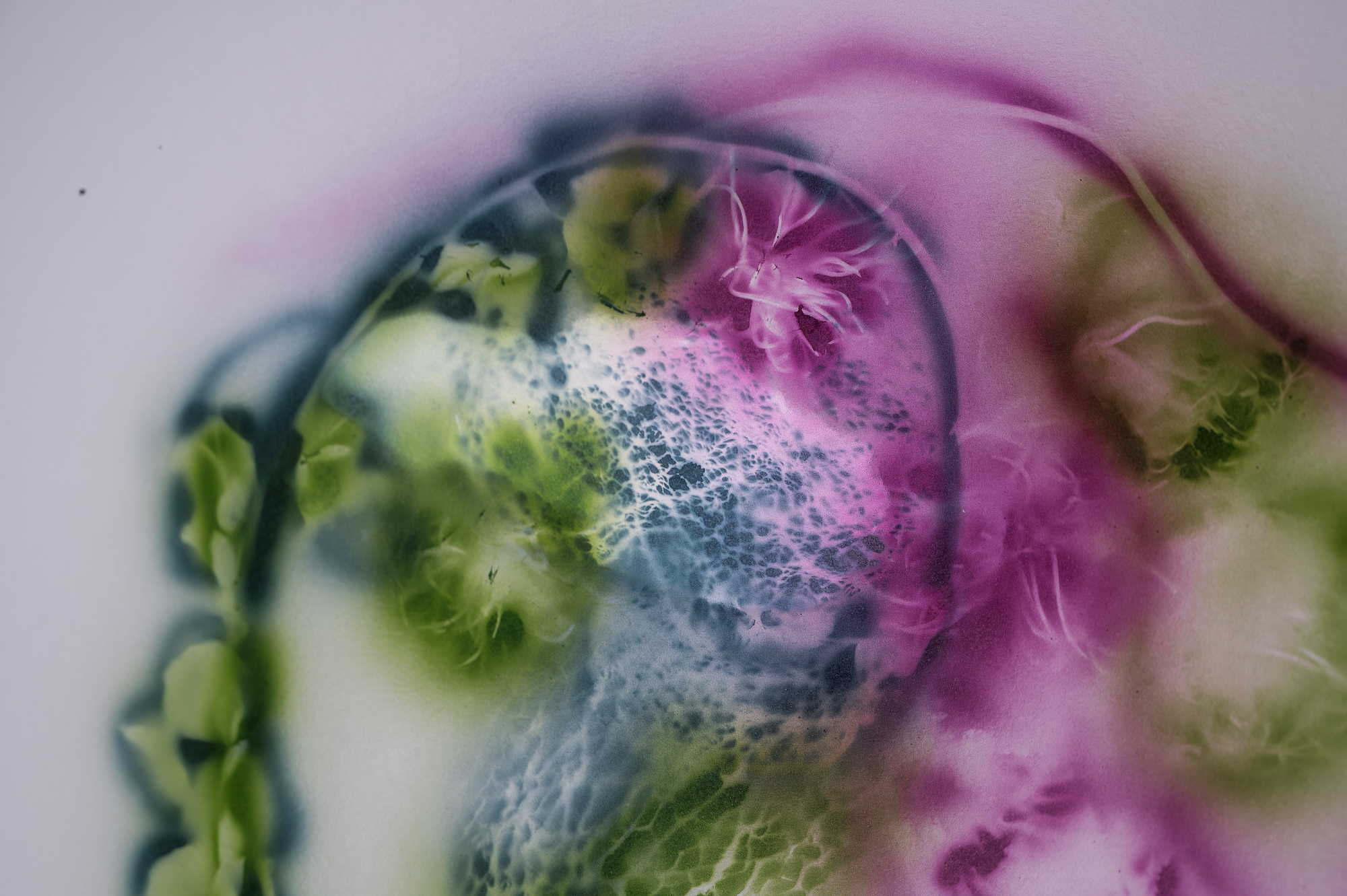 Natália Trejbalová – Few Thoughts on Floating Spores