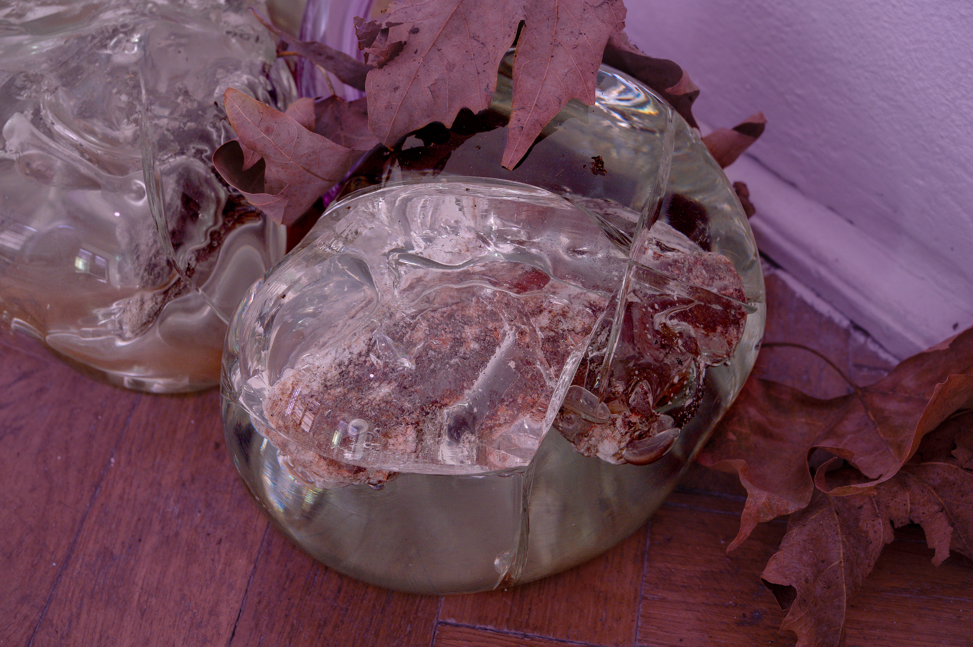 Natália Trejbalová – Few Thoughts on Floating Spores