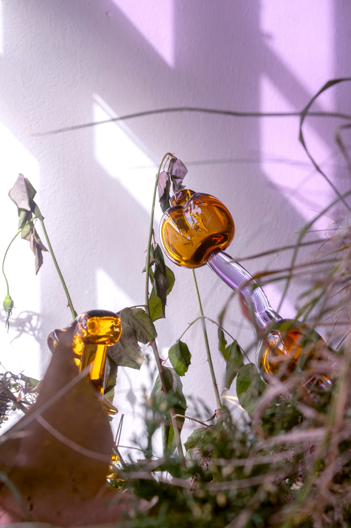 Natália Trejbalová – Few Thoughts on Floating Spores