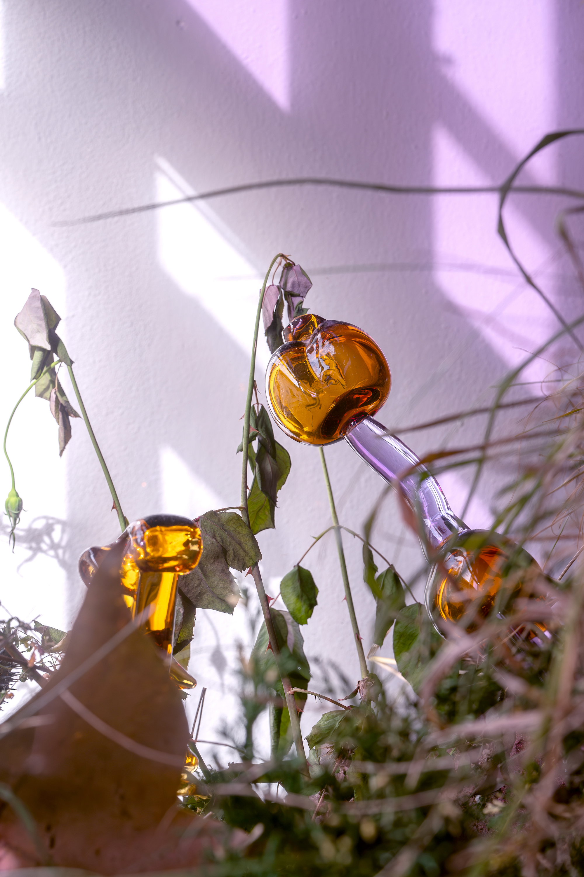 Natália Trejbalová – Few Thoughts on Floating Spores