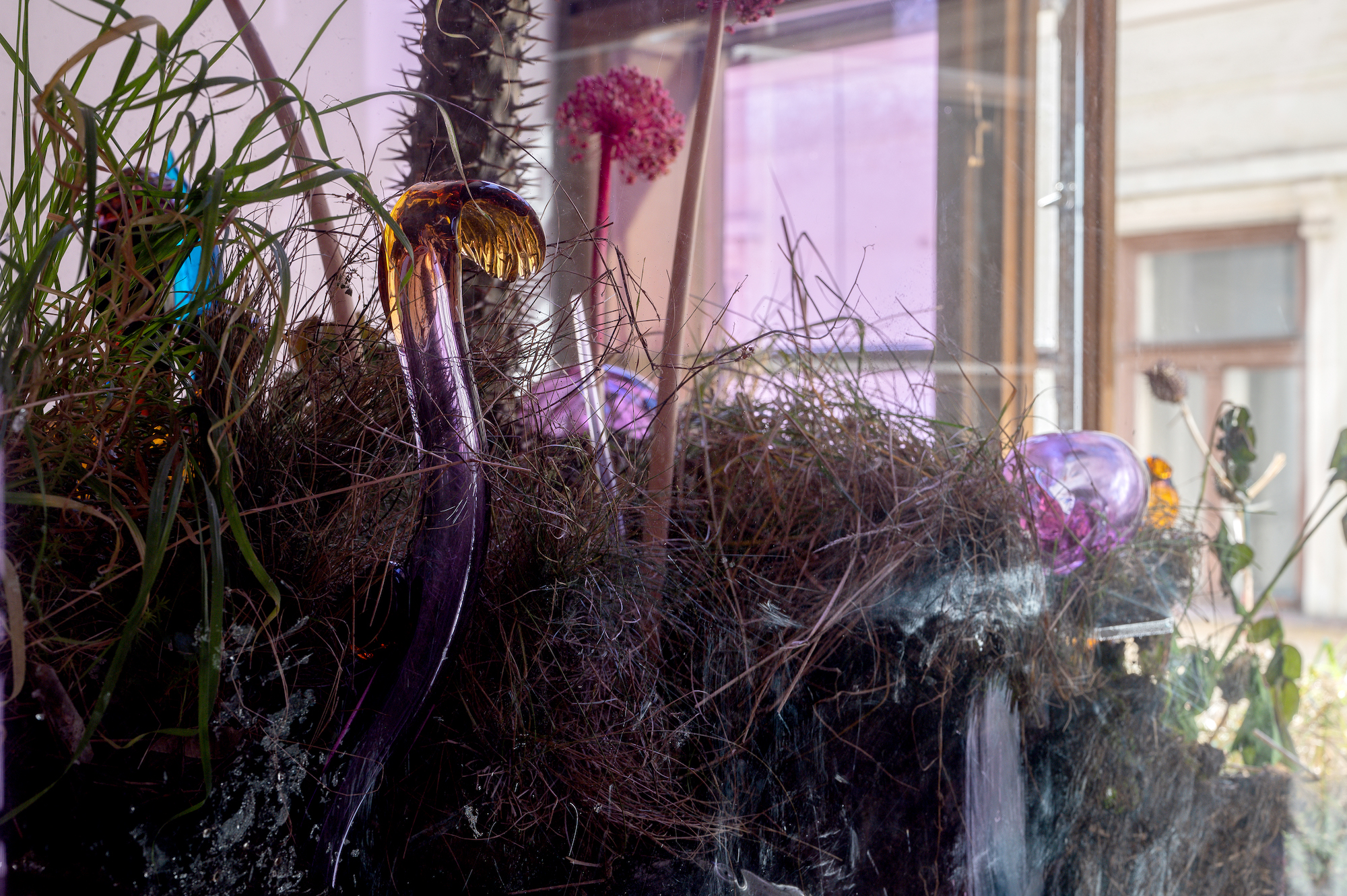 Natália Trejbalová – Few Thoughts on Floating Spores