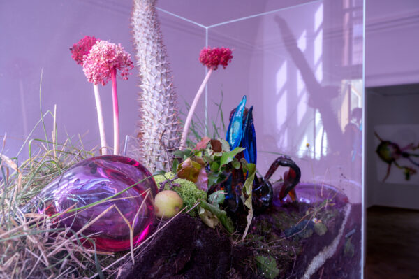 Natália Trejbalová – Few Thoughts on Floating Spores