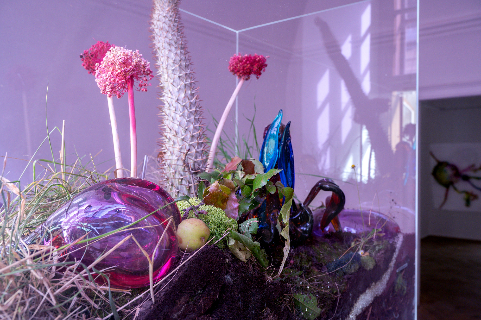 Natália Trejbalová – Few Thoughts on Floating Spores