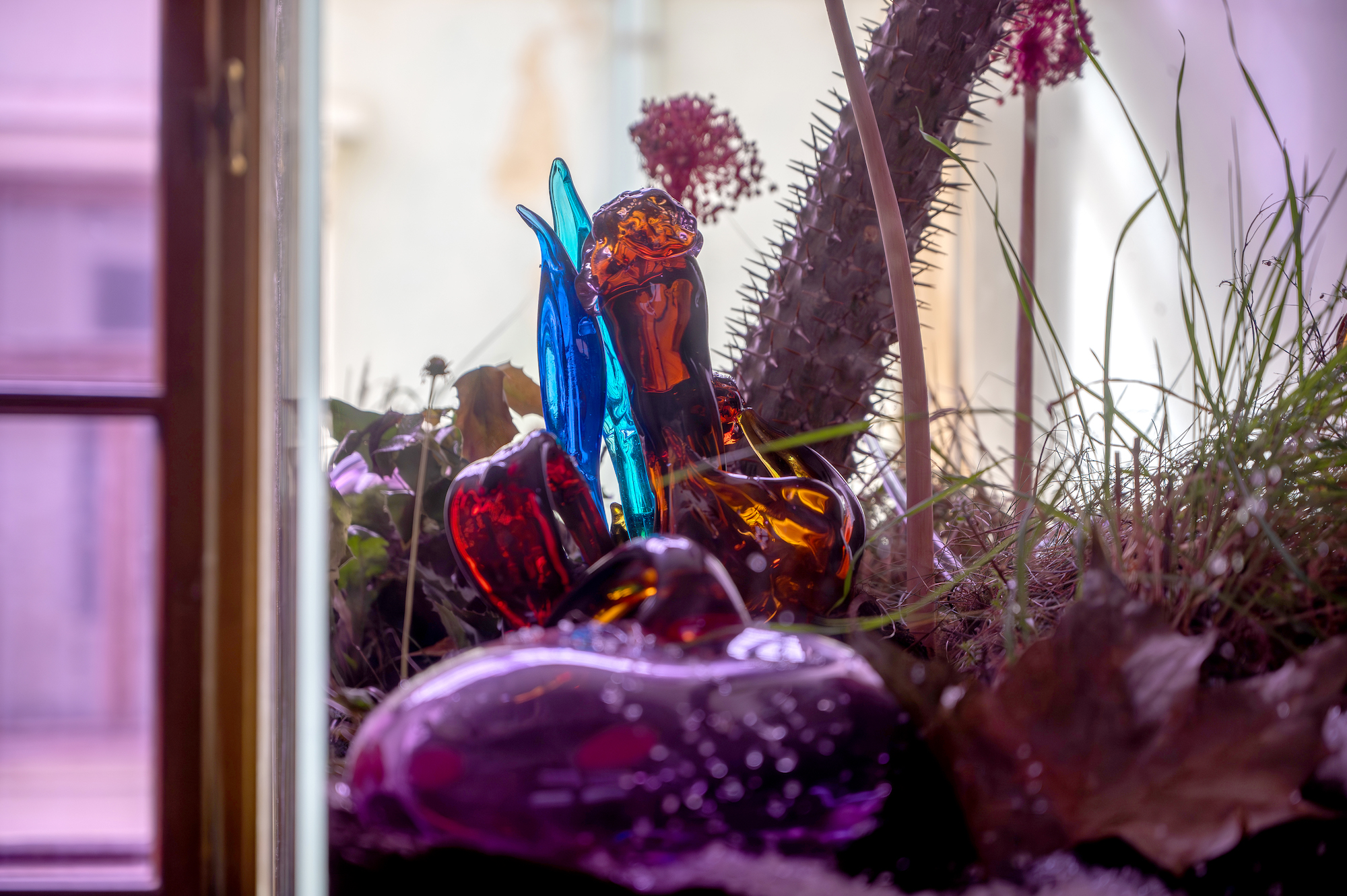 Natália Trejbalová – Few Thoughts on Floating Spores