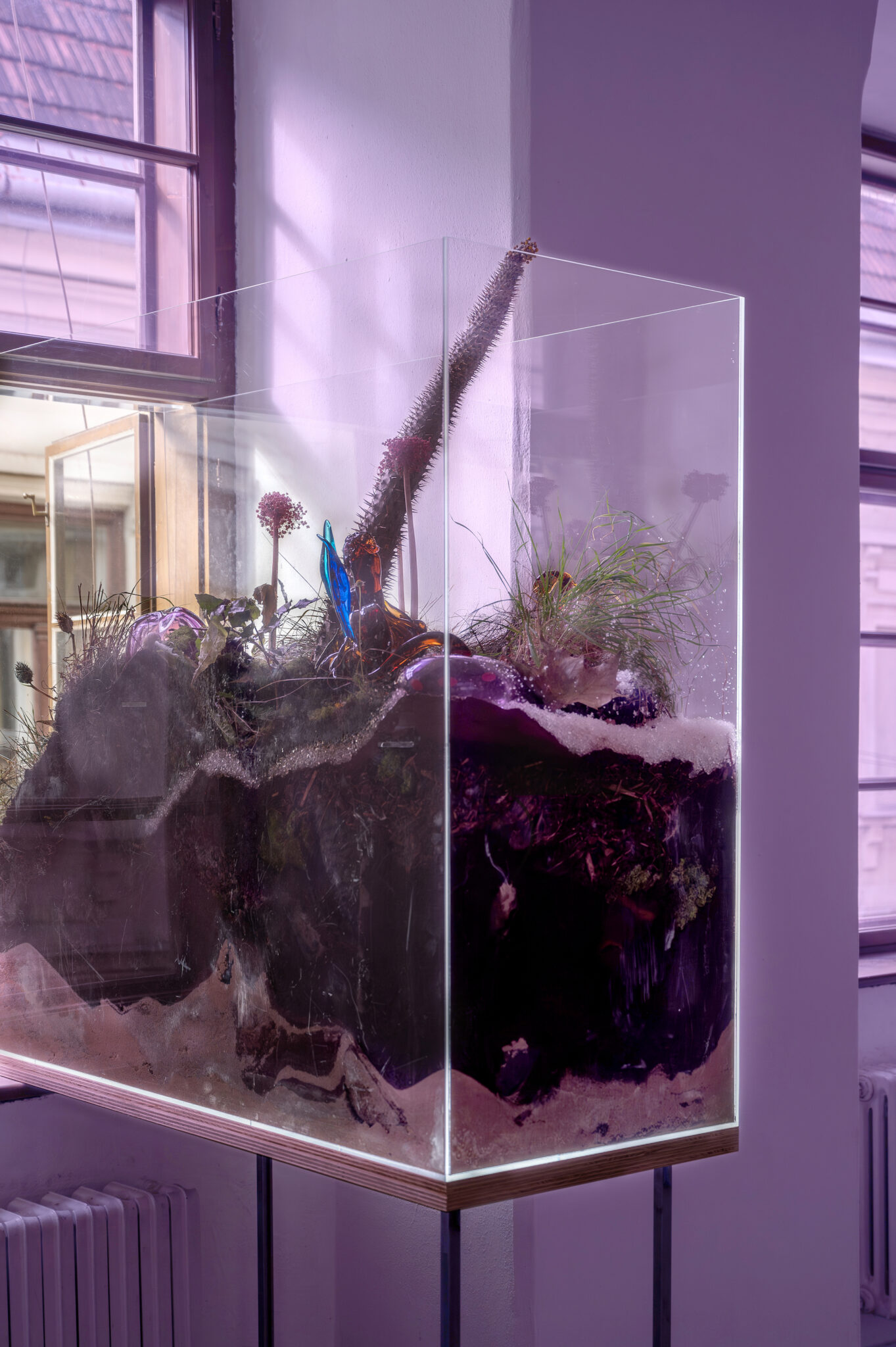 Natália Trejbalová – Few Thoughts on Floating Spores