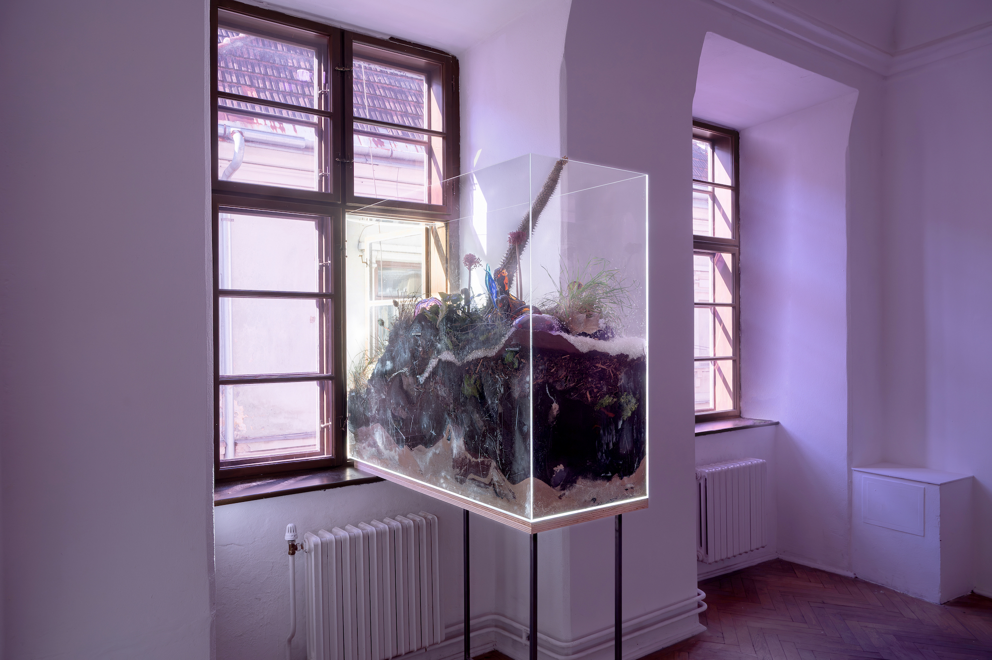 Natália Trejbalová – Few Thoughts on Floating Spores