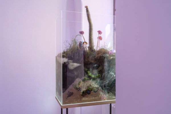 Natália Trejbalová – Few Thoughts on Floating Spores