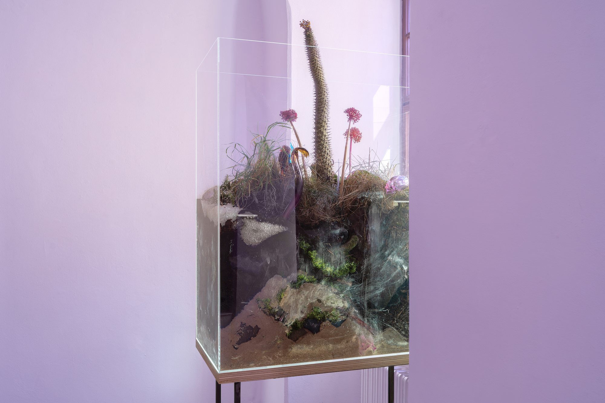 Natália Trejbalová – Few Thoughts on Floating Spores